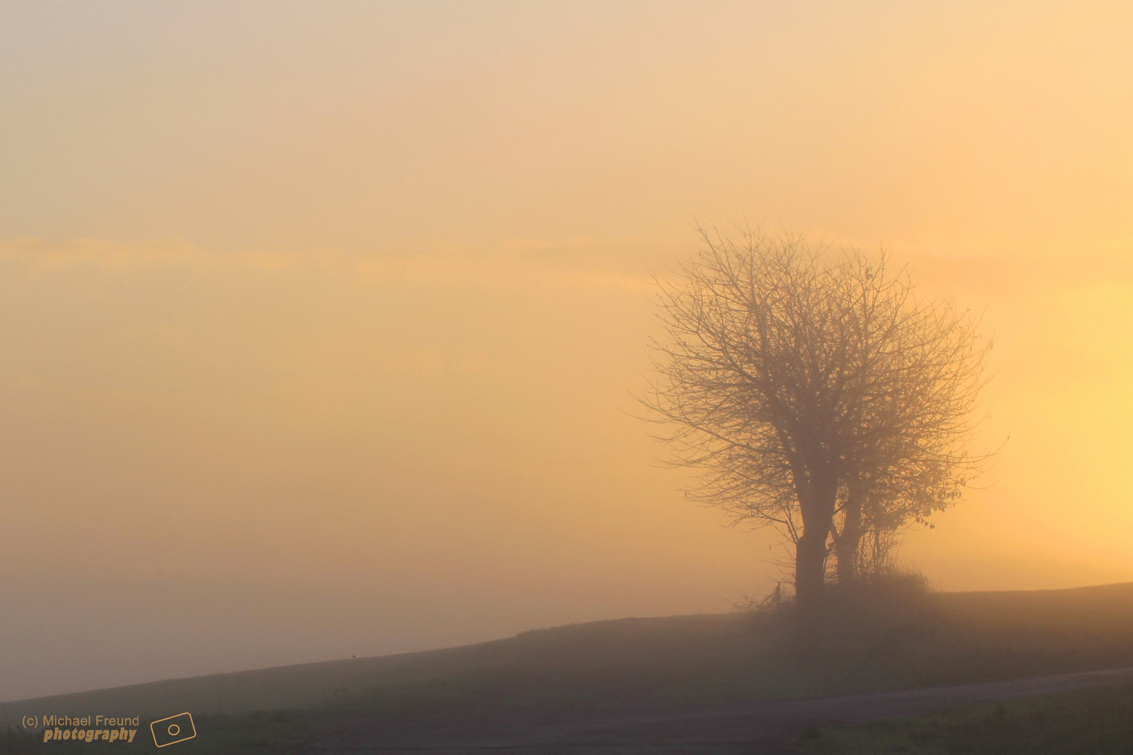 Morgenrot im Knüll