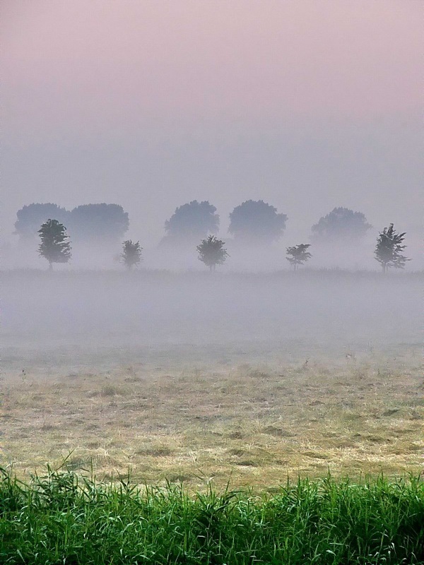 Morgenrot im Nebel