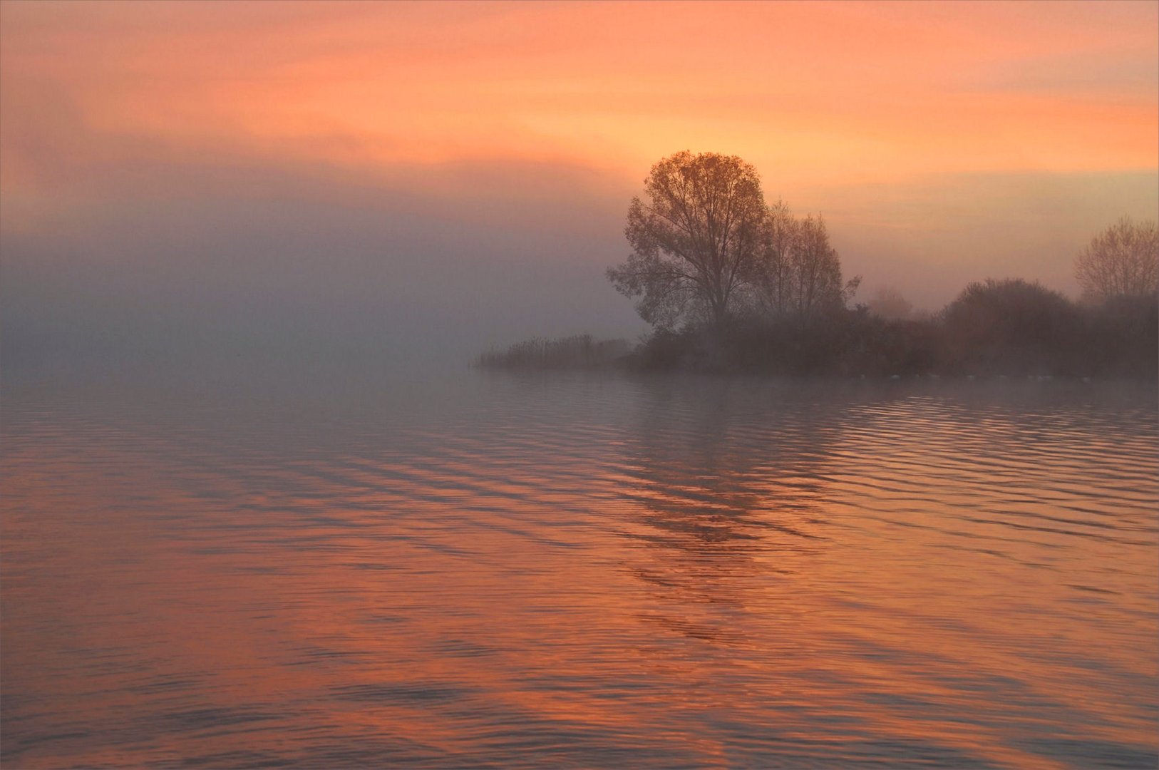 Morgenrot im Nebel....