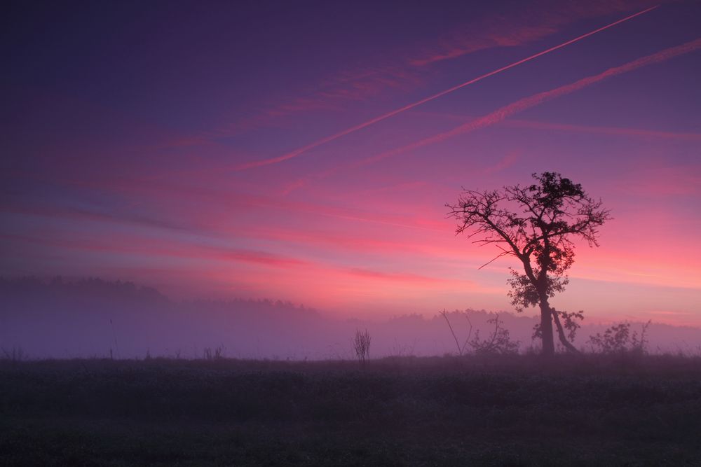 Morgenrot im November