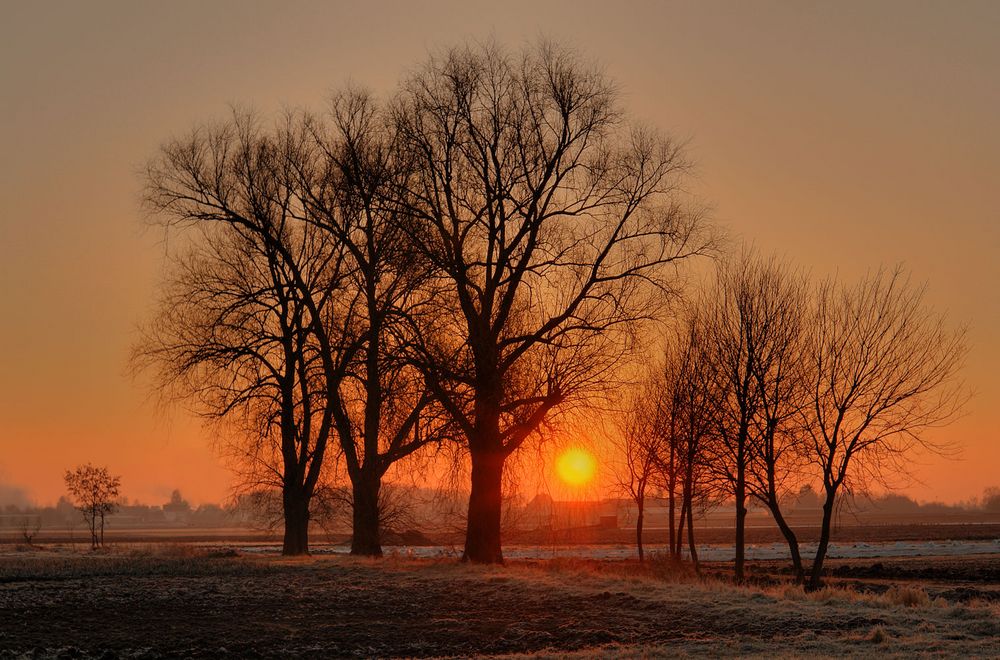 Morgenrot im Winter