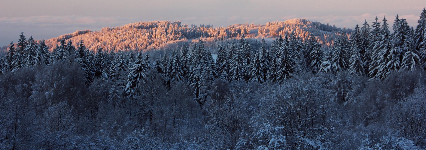 Morgenrot im Winter