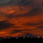 Morgenrot in Büchenbach  11.04.2017 - 06:25 Uhr