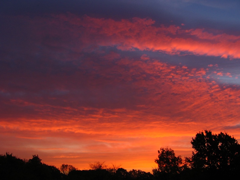 Morgenrot in Wedel