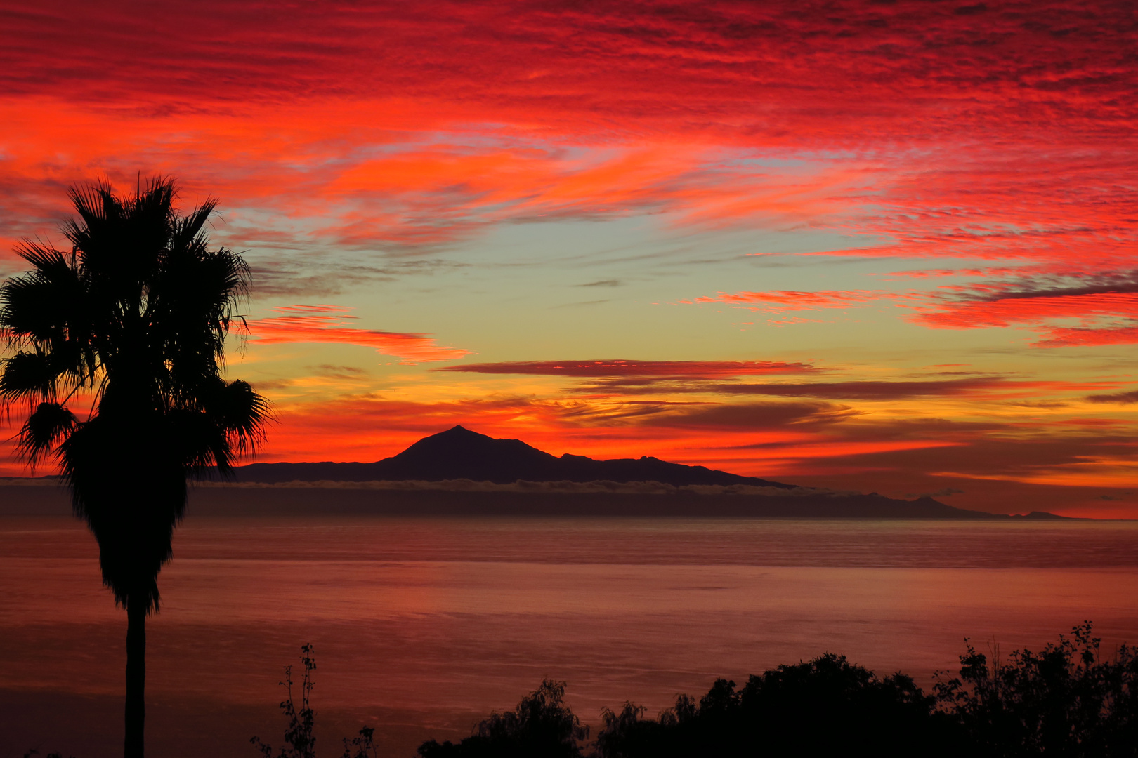 Morgenrot la palma