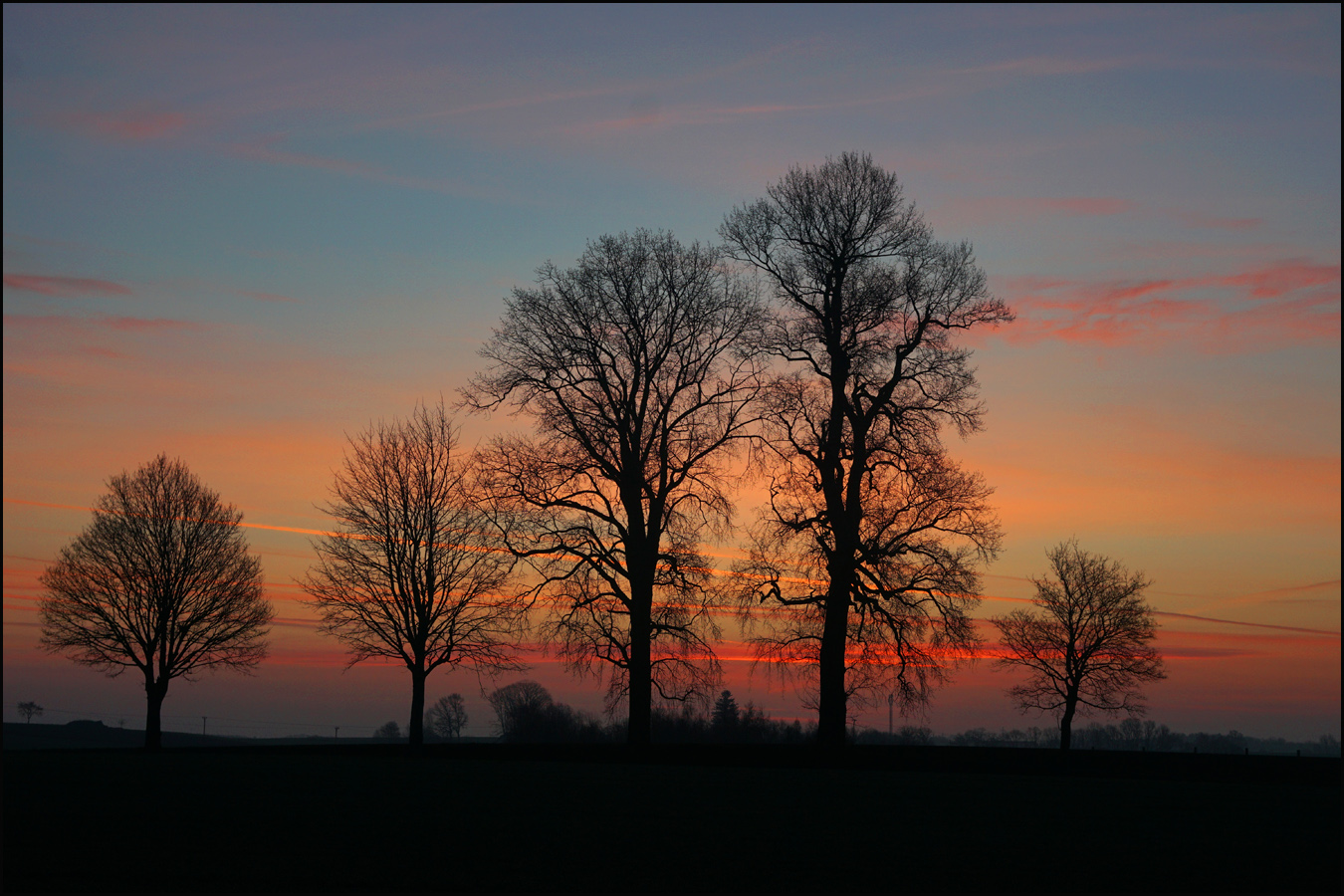 Morgenrot mit nackten Bäumen 2