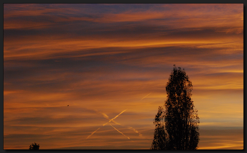 Morgenrot mit Vogi... ;o)))