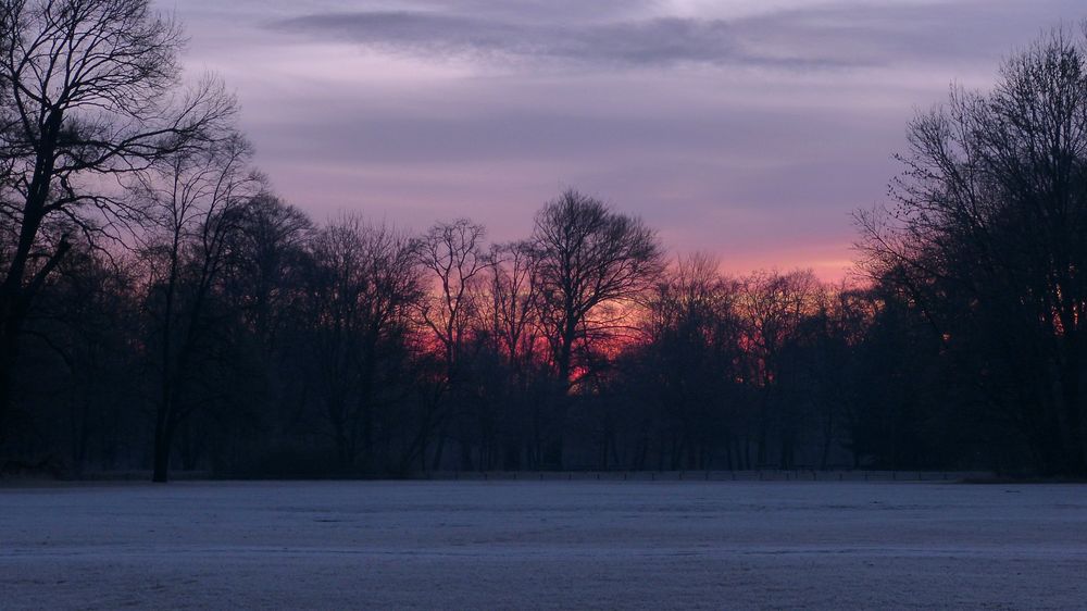 Morgenrot nach einer kalten Nacht. Englischer Garten, München.