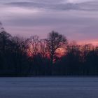 Morgenrot nach einer kalten Nacht. Englischer Garten, München.