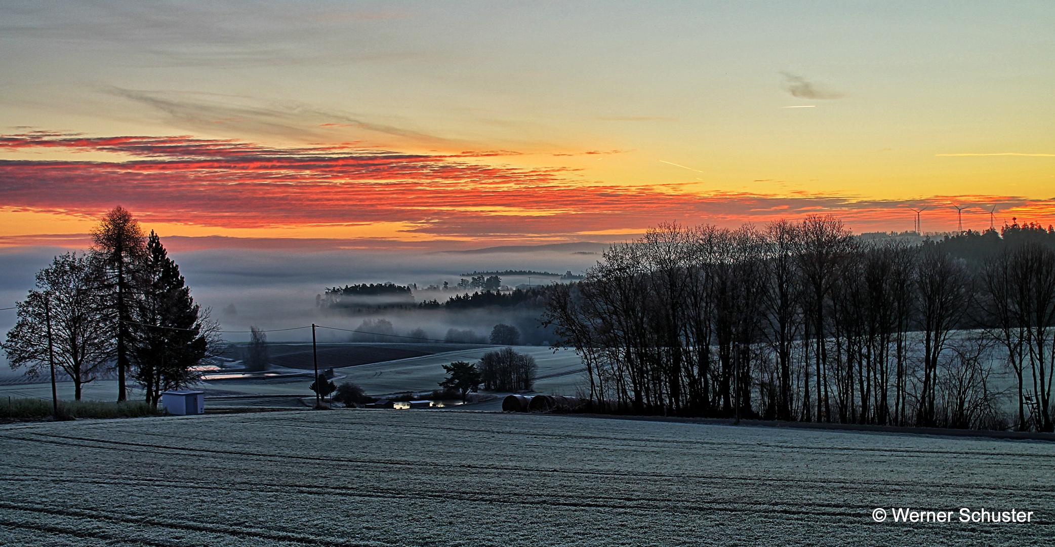 Morgenrot trifft Morgennebel