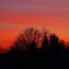 Morgenrot über der Heide-und Teichlausitz