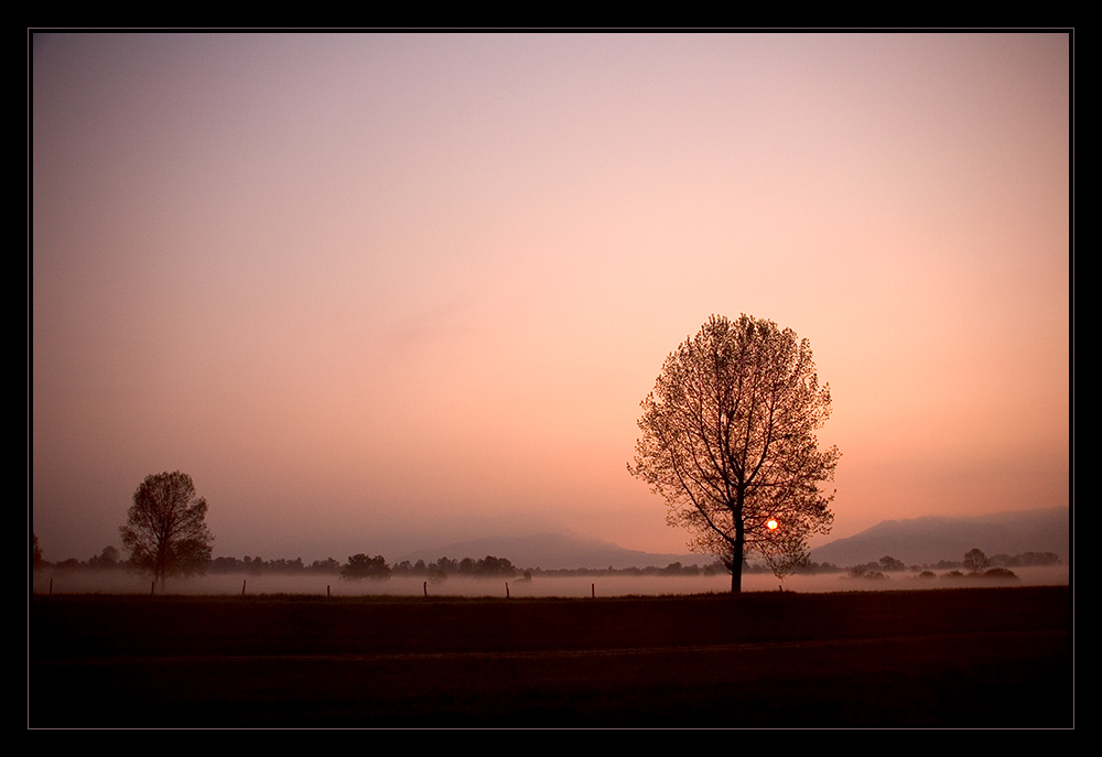 Morgenrot und Bodennebel!!!