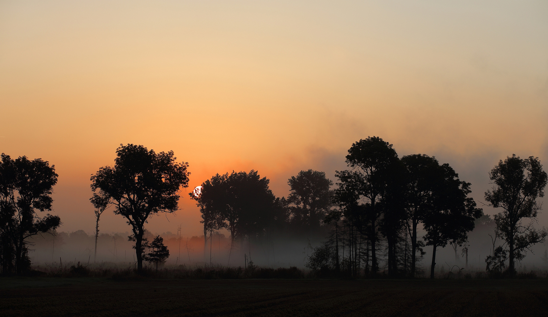 # Morgenrot und Frühtau