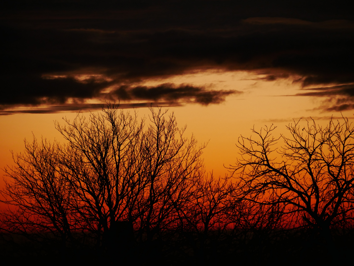 Morgenrot und Regenfront