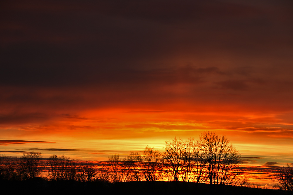 Morgenrot vom 22.01.2024