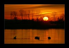 Morgenruhe am See