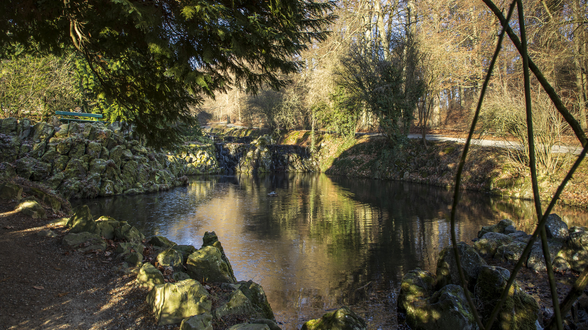 Morgenruhe am Teich