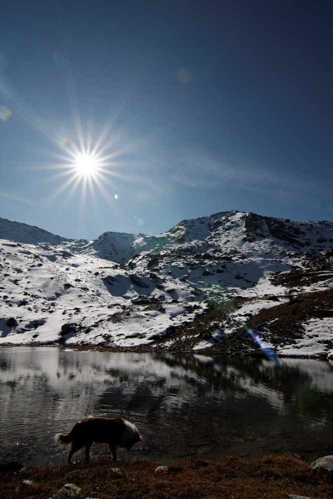 Morgenruhe in den Tuxeralpen / Kreuzspitze 2746m