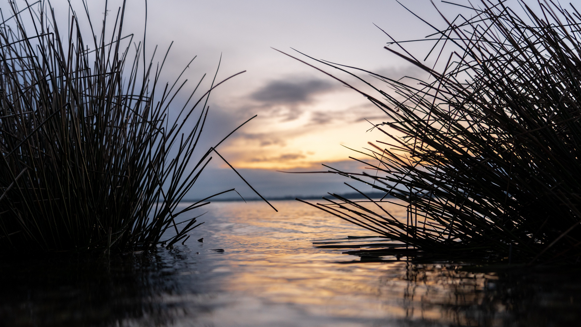 Morgenrunde am See