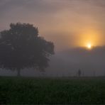 Morgenrunde im Nebel