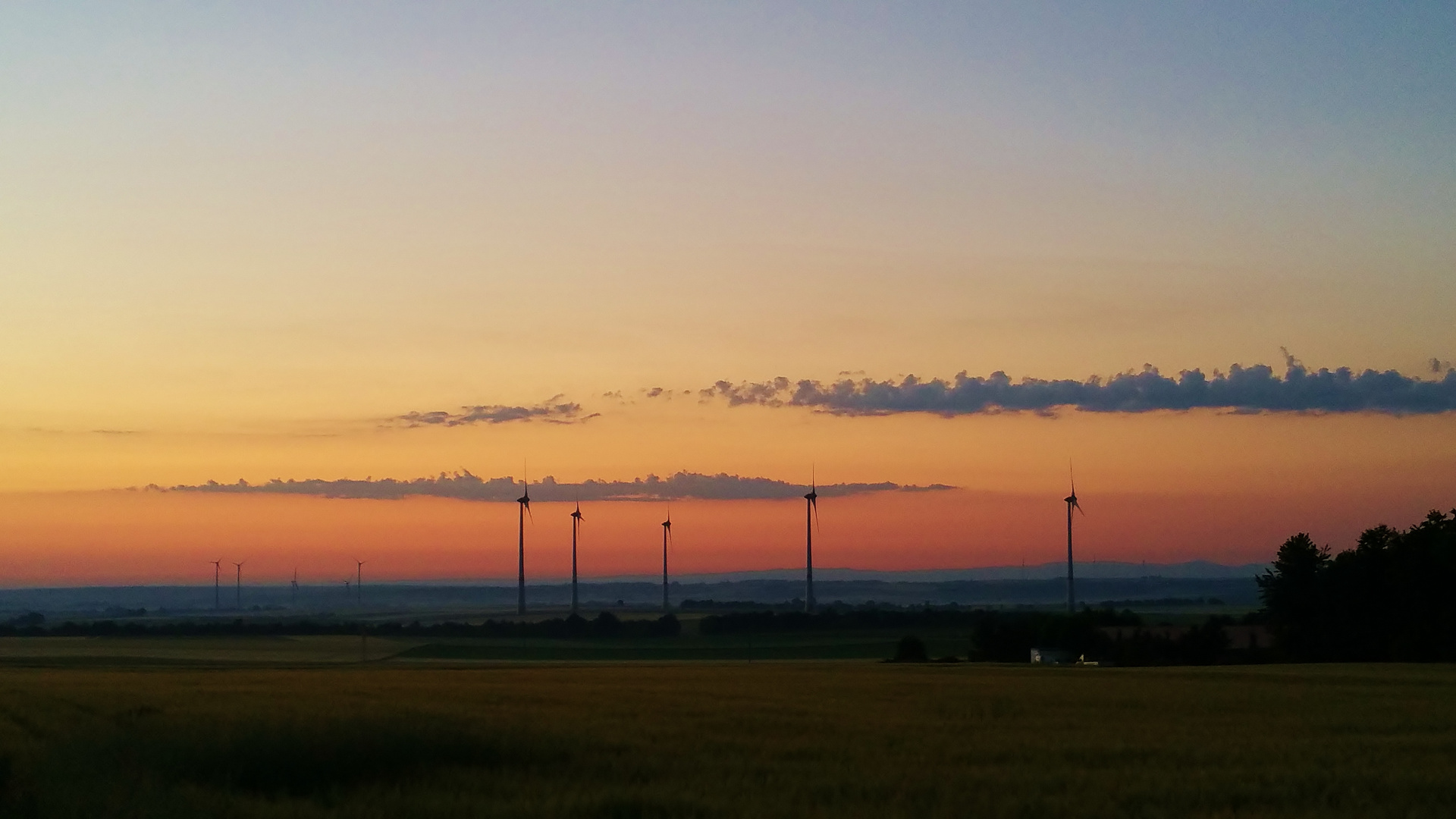 Morgens 5:00 Uhr Rheinhessen Erwacht! 2