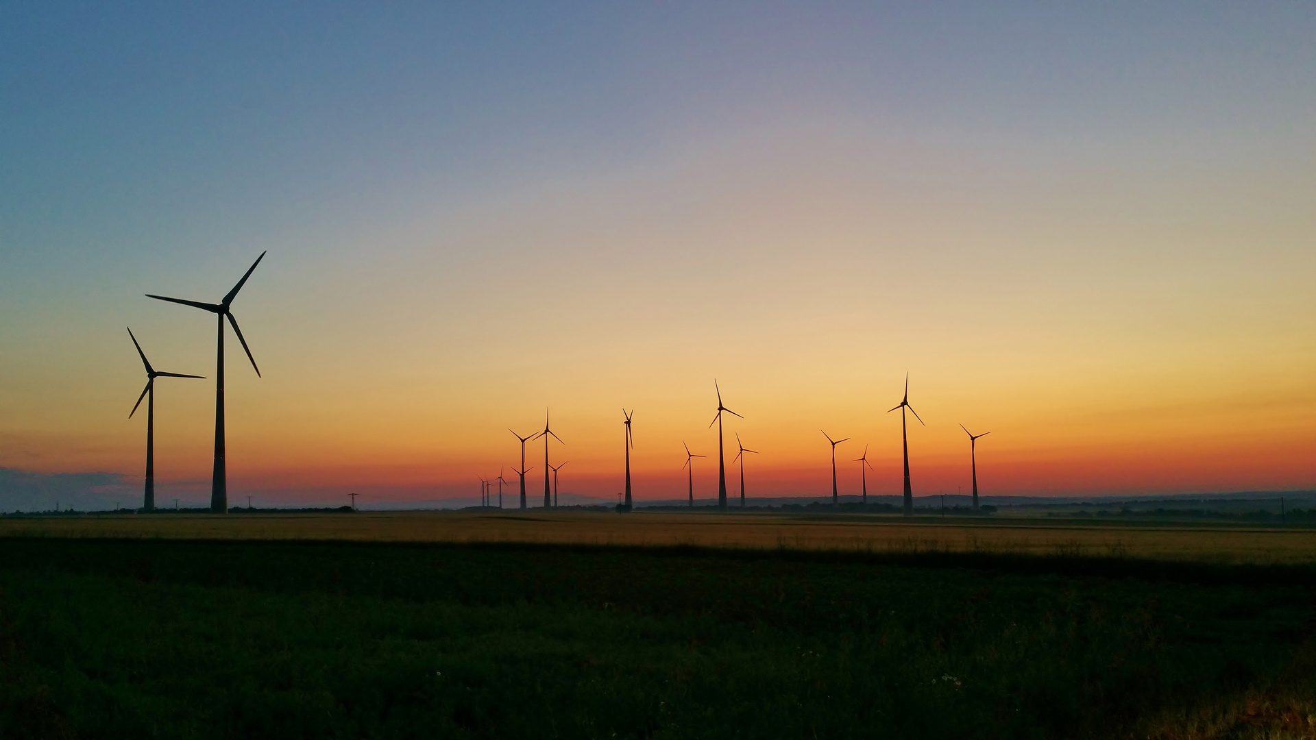 Morgens 5:00 Uhr Rheinhessen Erwacht!