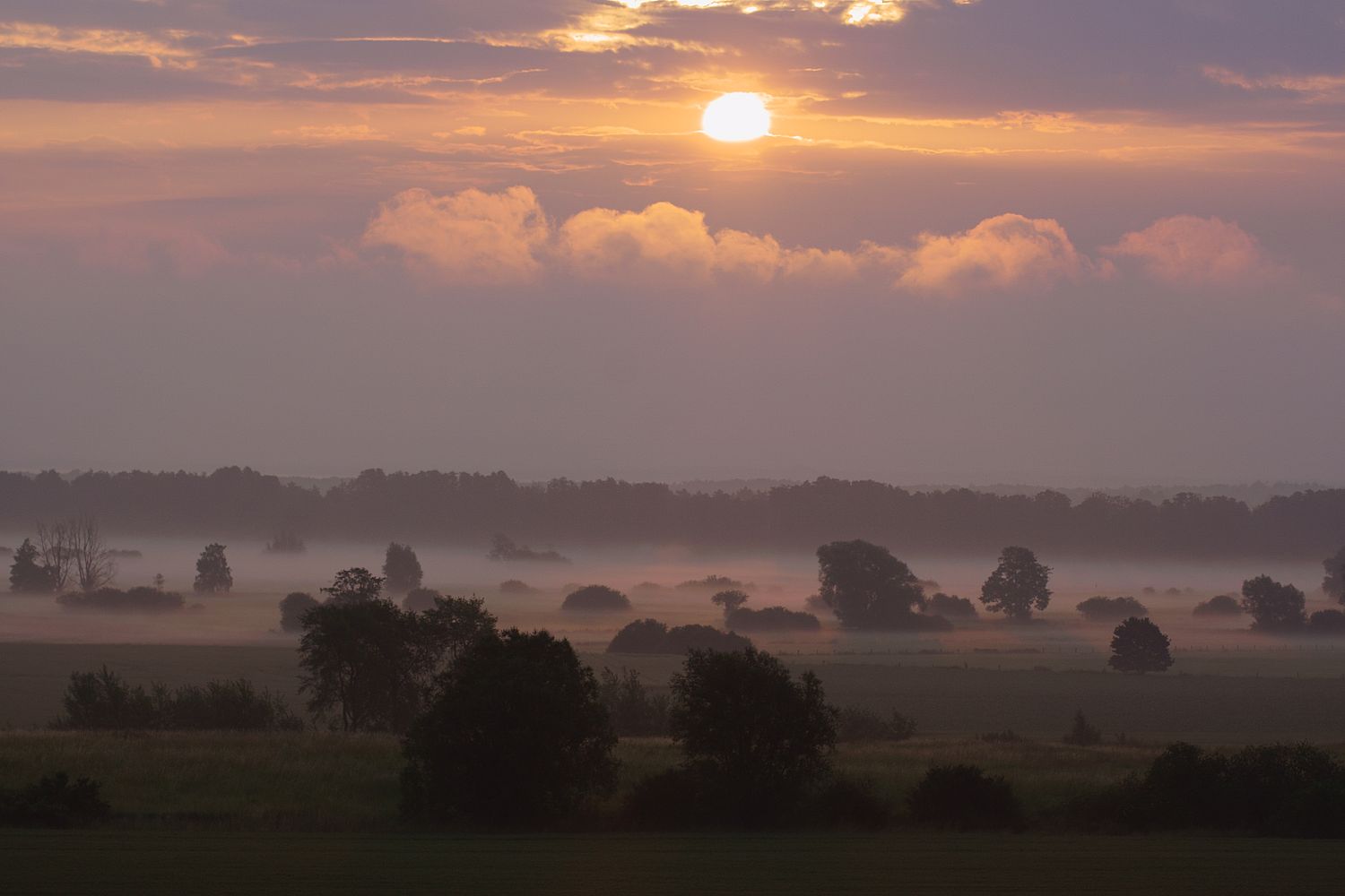 Morgens 5.25 Uhr am Steinhuder Meer