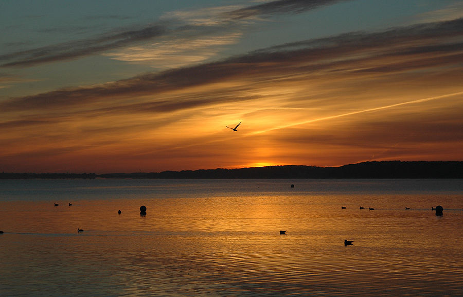 Morgens 5.30h in der Flensburger Förde