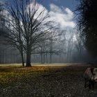 Morgens 6 Uhr in Deutschland