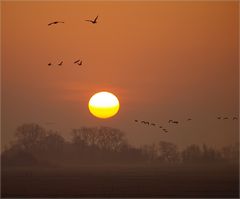 Morgens 6.30 in Ostfriesland