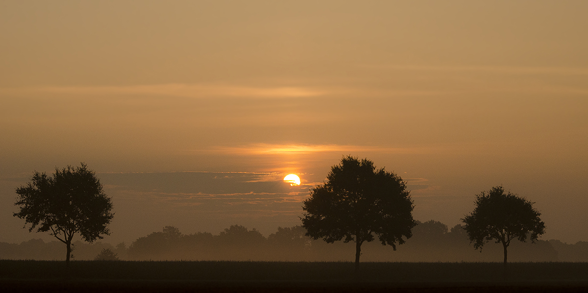 Morgens 6h in Niehorst !!!