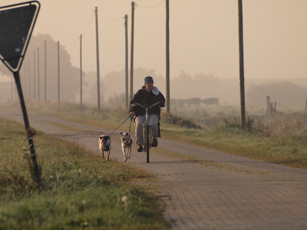 Morgens 8.30 im Rheiderland