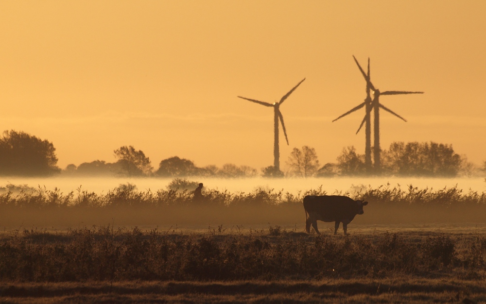 Morgens 9 Uhr in Ostfriesland