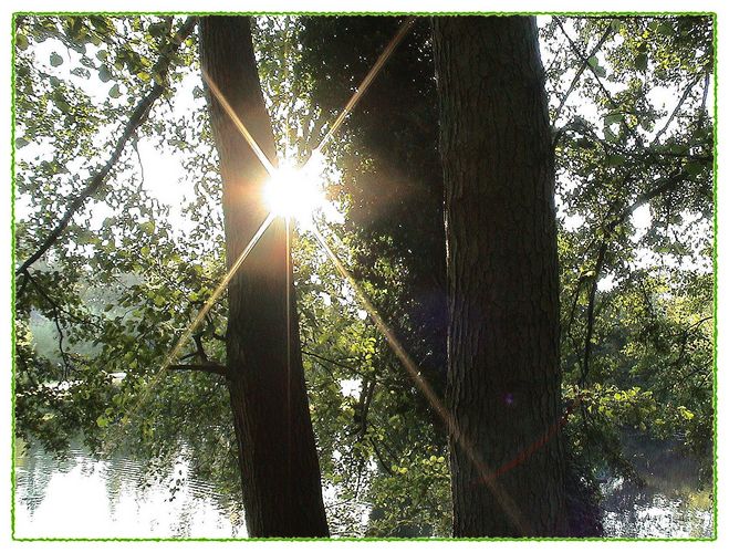 Morgens als die Sonne im Moritzpark aufging und zwischen zwei Baumstämmen hervorlugte