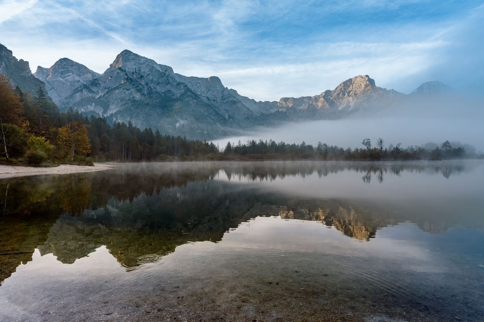 Morgens am Almsee