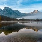 Morgens am Almsee