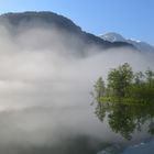 Morgens am Almsee