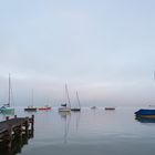 morgens am Ammersee