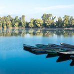 Morgens am Anglersee...