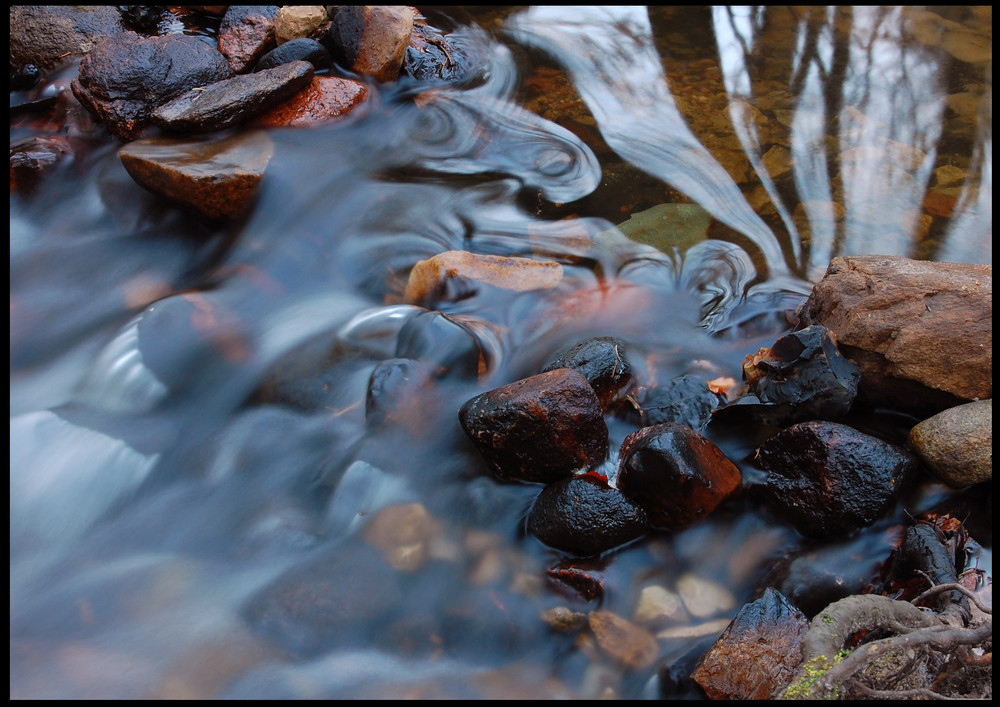 Morgens am Bach