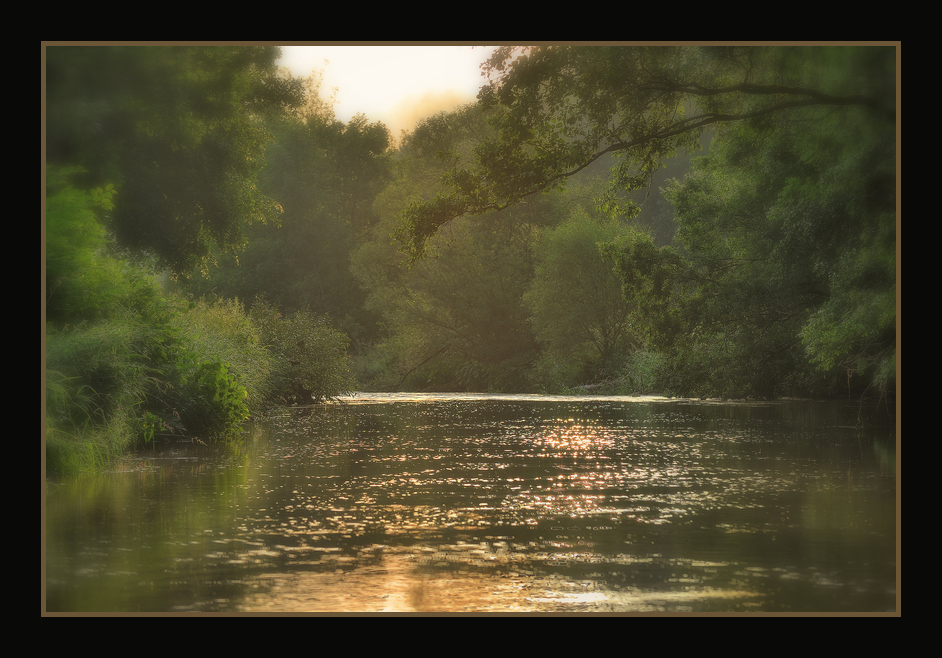 Morgens am Bach