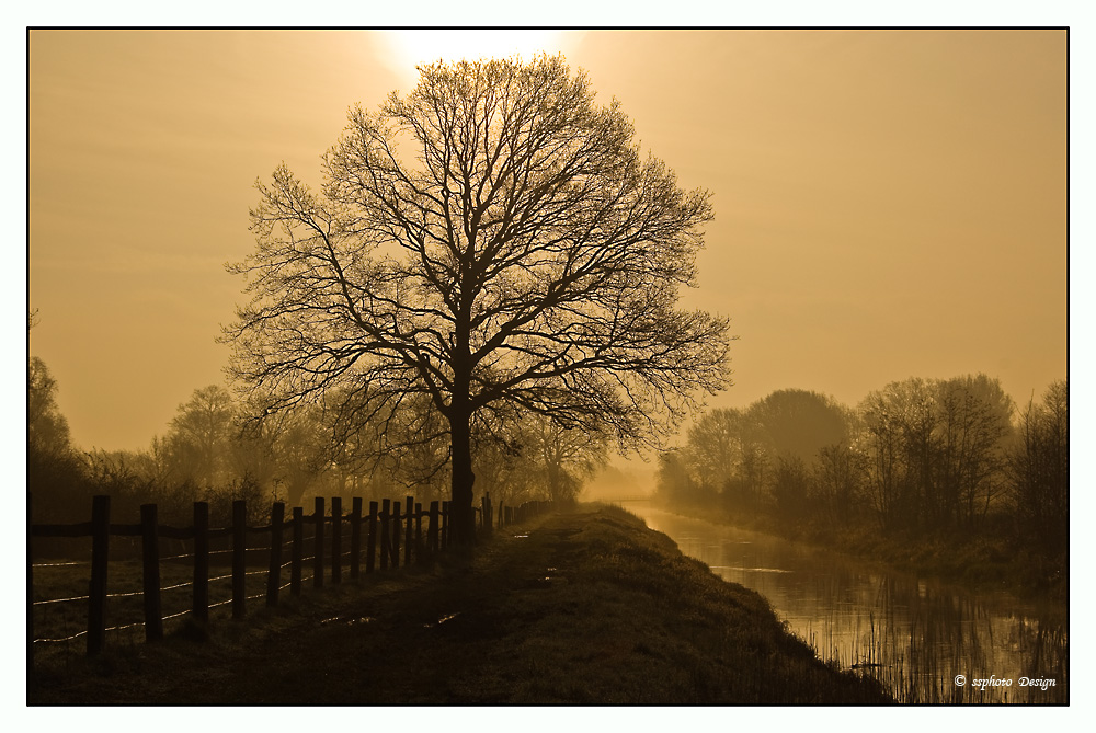 Morgens am Bach