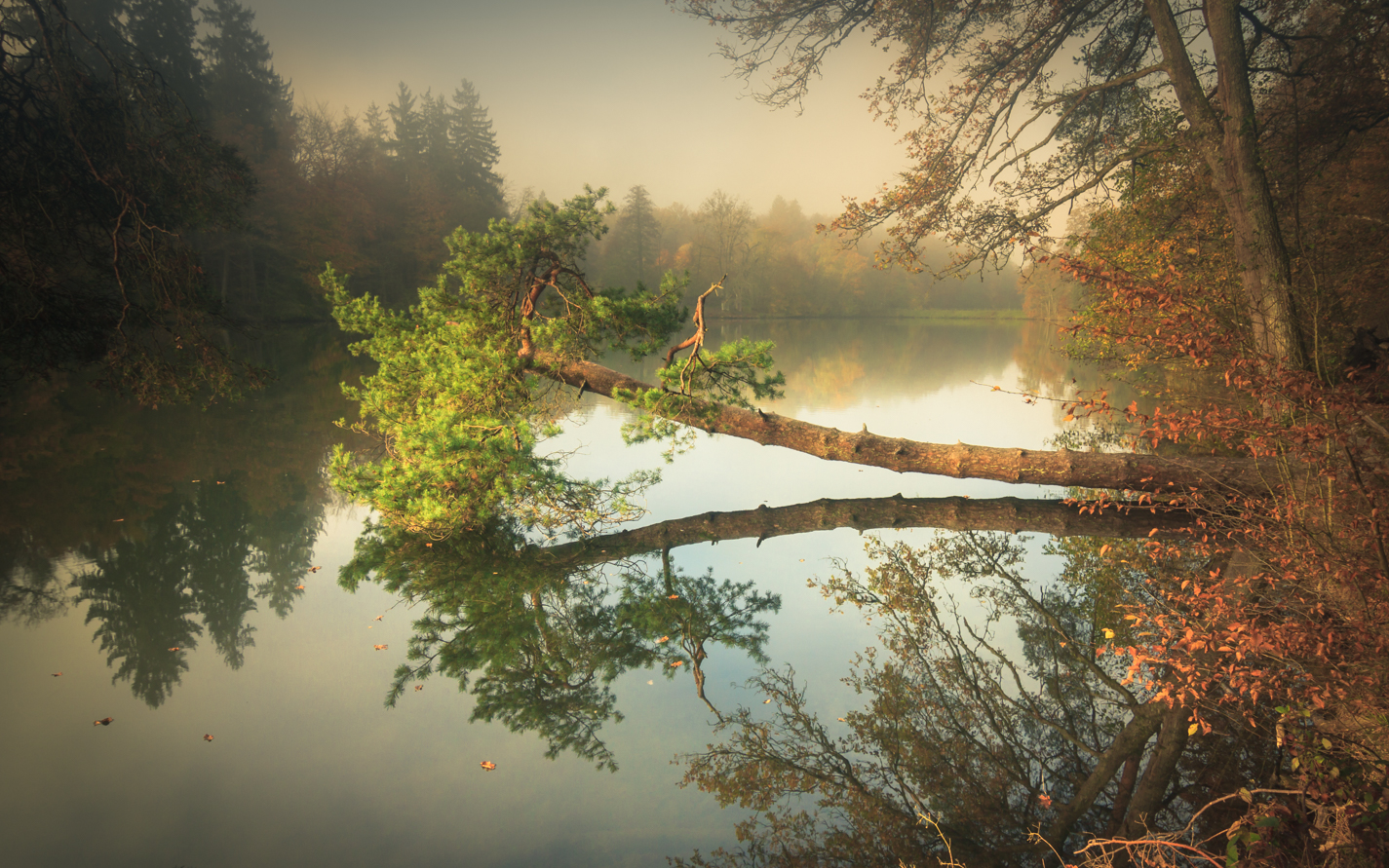 Morgens am Bärensee