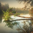 Morgens am Bärensee