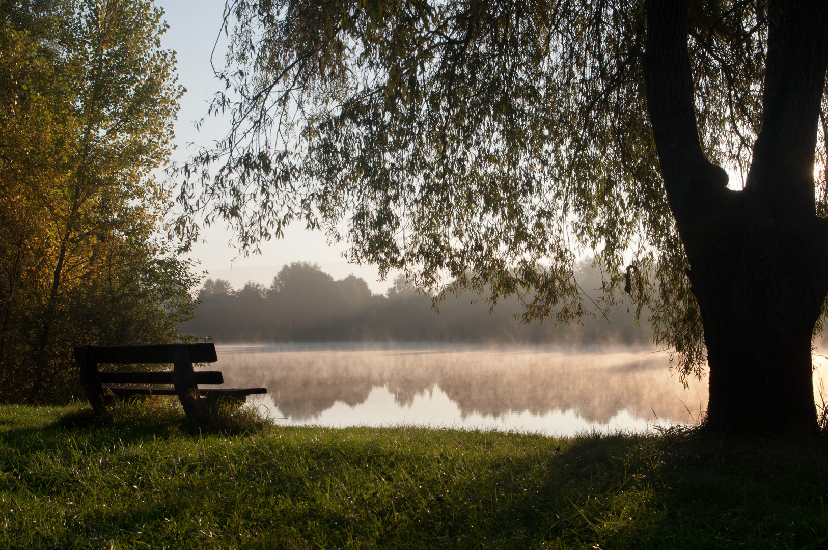 Morgens am Baggersee