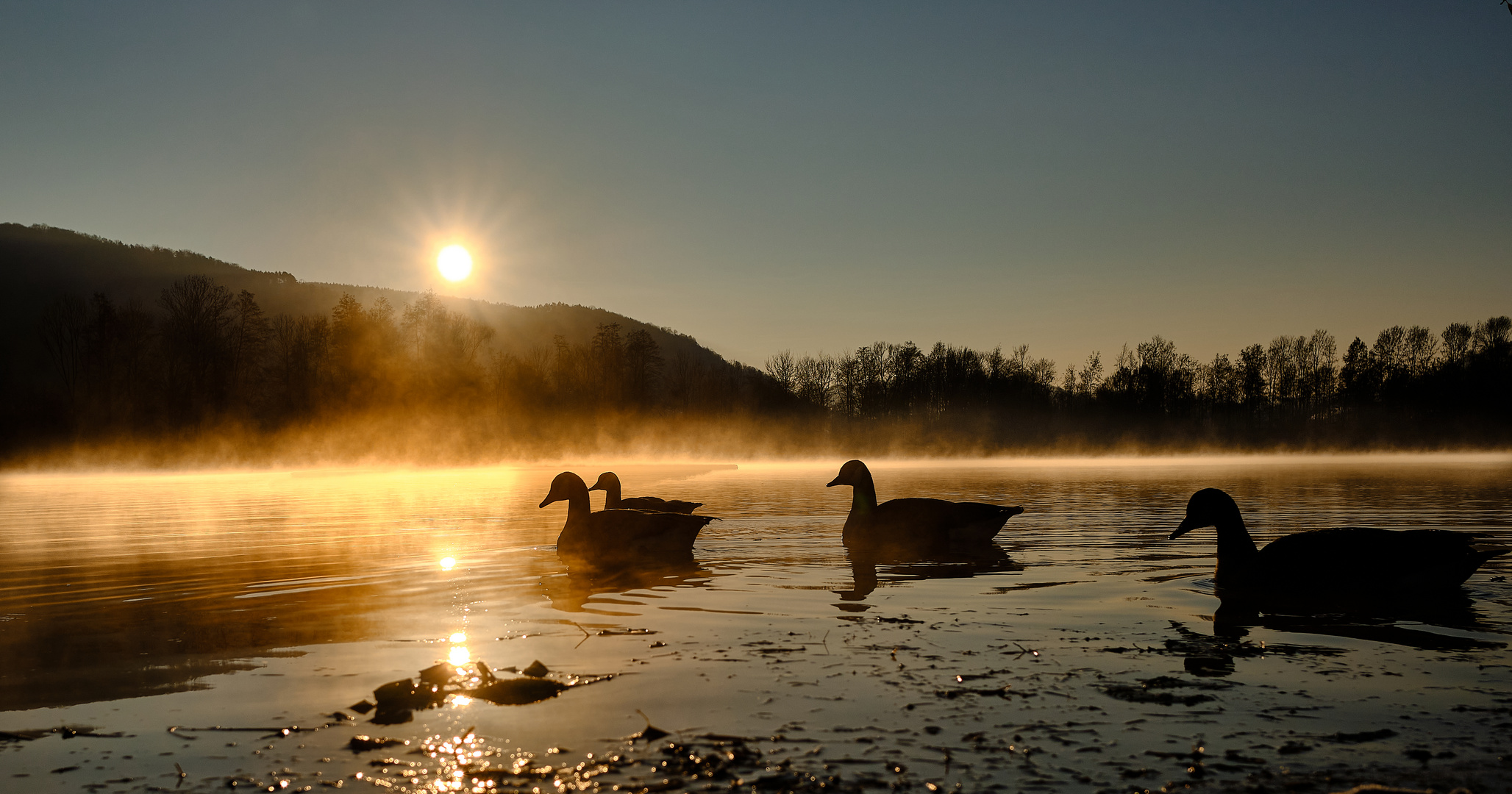 Morgens am Baggersee