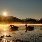 Morgens am Baggersee