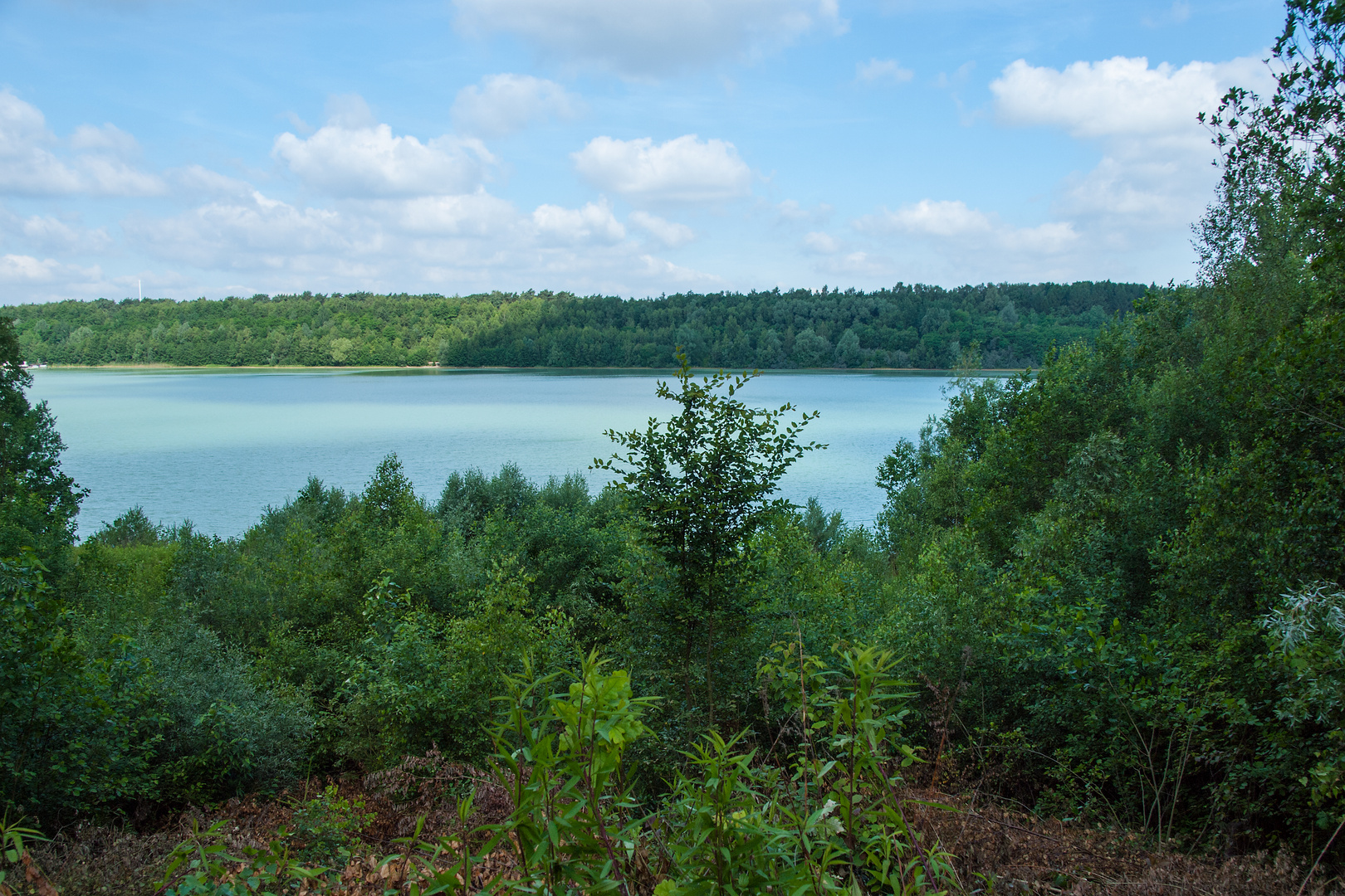 Morgens am Baggersee