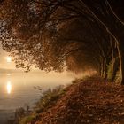 Morgens am Baldeneysee