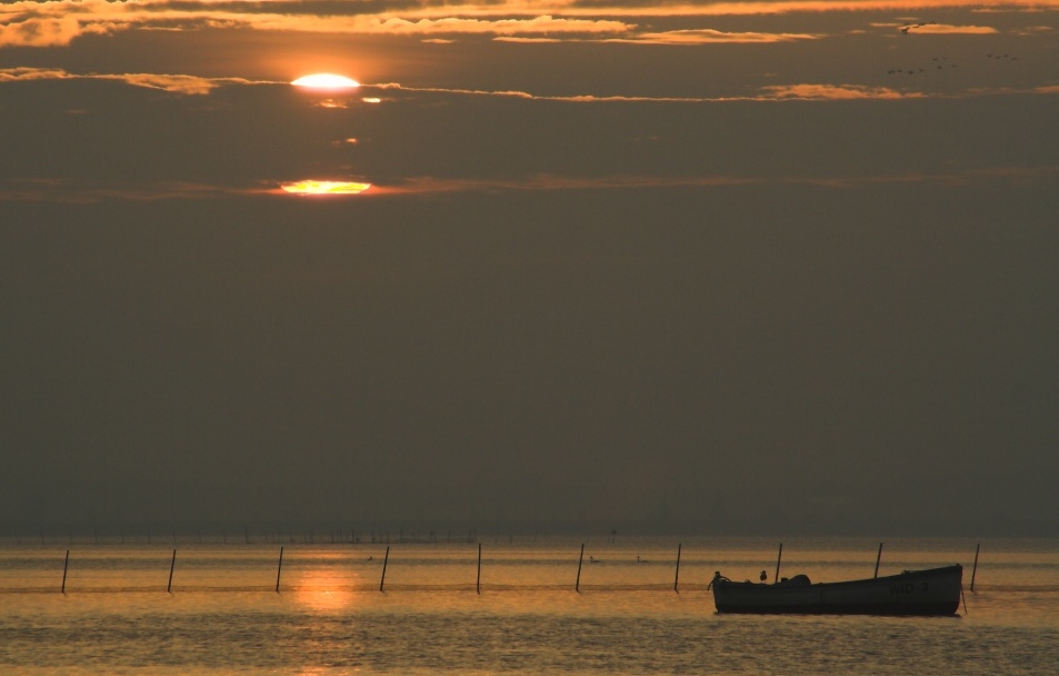 Morgens am Bodden 01